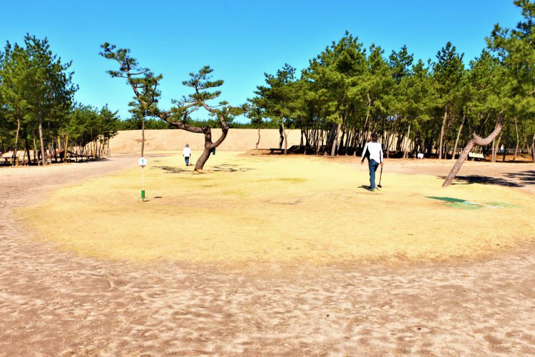 砂丘の杜 グラウンドゴルフ場