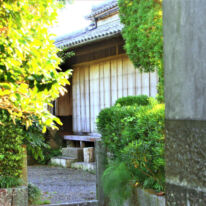 生垣から垣間見える武家屋敷